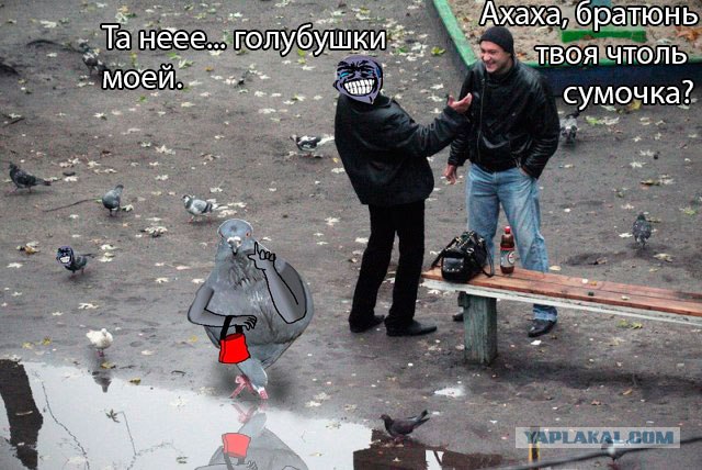 Фотопроект “Лавочка”