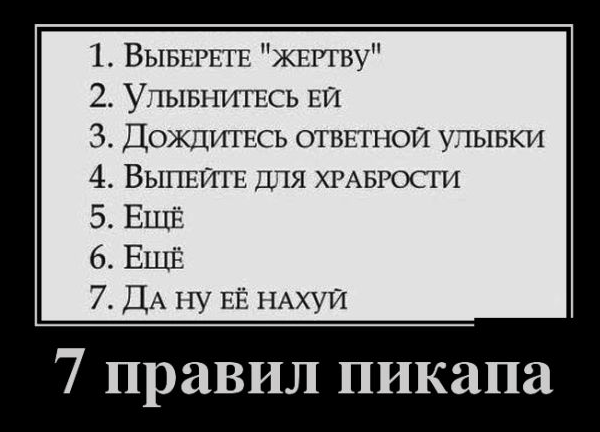 Подборка смешных и забавных фото