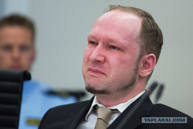 Беженцы в Европе