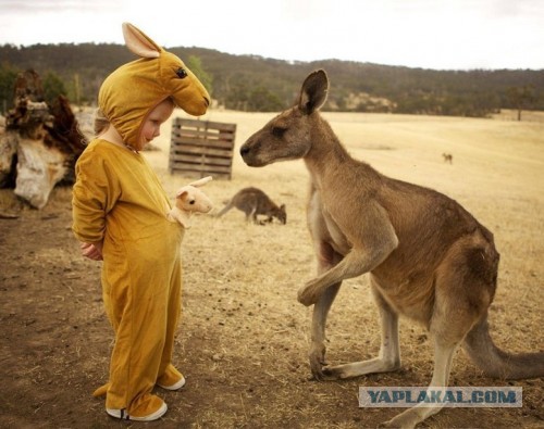 Прикольные картинки