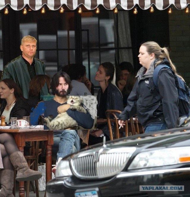 Не желаете ли пожабить