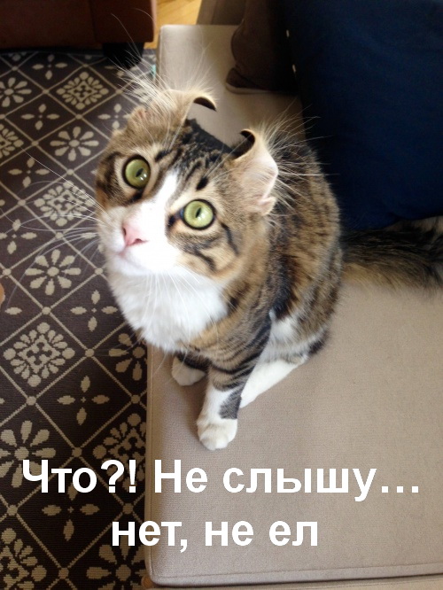 Подборка картинок