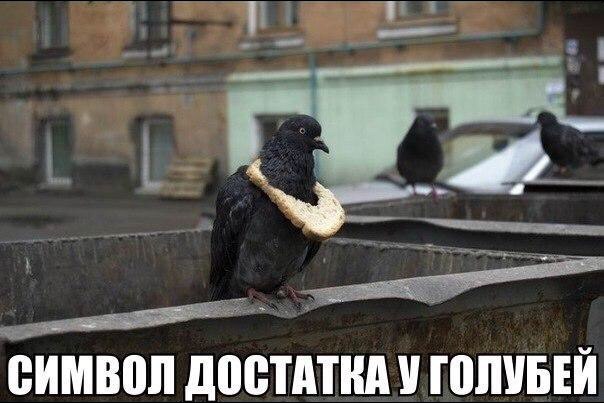 Подборка картинок