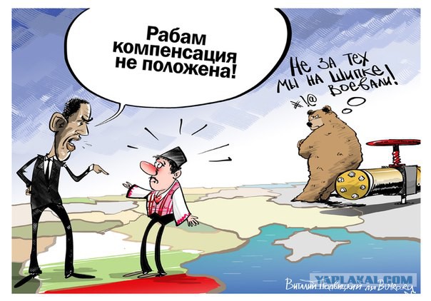 Карикатуры от Студии 13