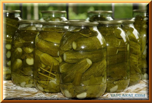 Выставил объявление в газете "муж на час"