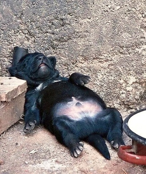 Подборка интересных и веселых фото