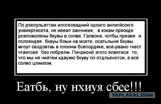 Подборка смешных картинок с надписями