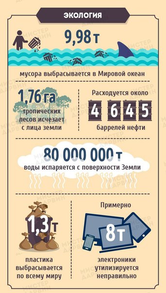 Комментарии и картинки из соцсетей