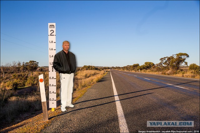 Зачем на австралийских дорогах ставят двухметровую линейку
