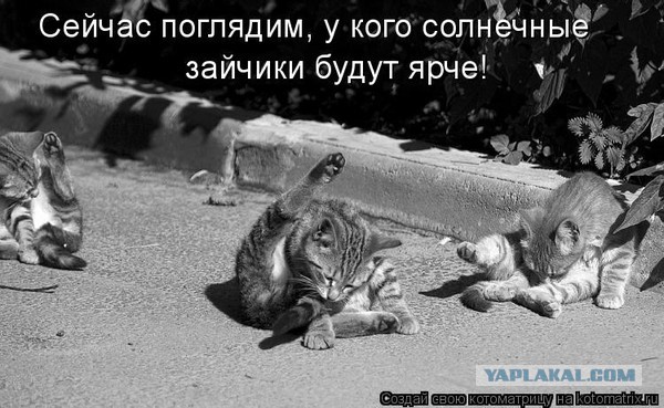 Дискриминация по половому признаку