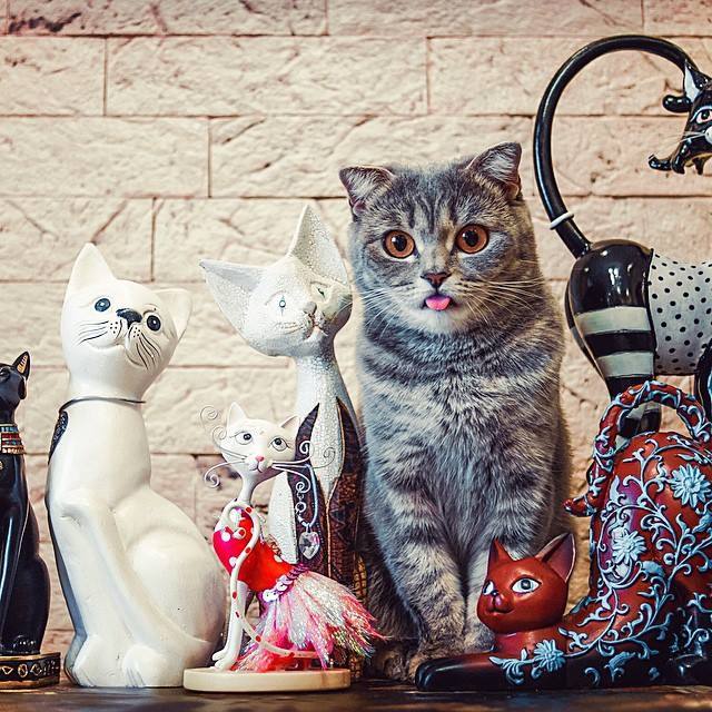 Котопрятки