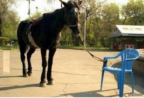 Что такое настоящие понты