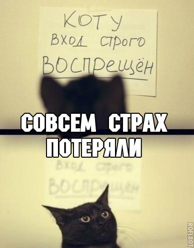Порция картинок