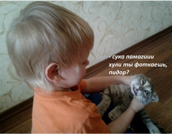 Абсурд и нарко трэш на новую неделю