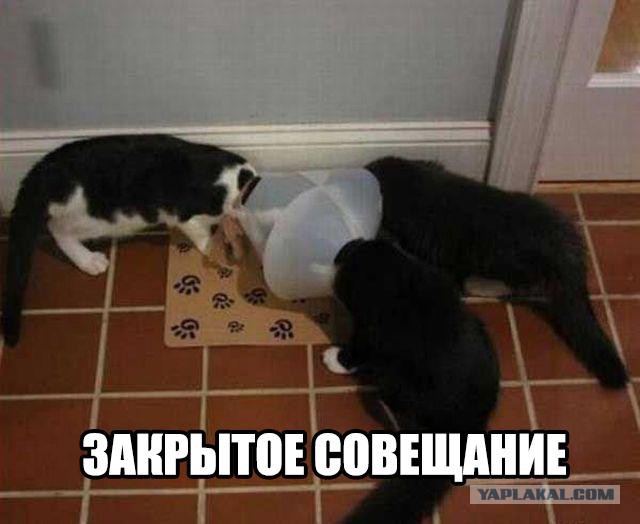 Субботний картиночный винегрет