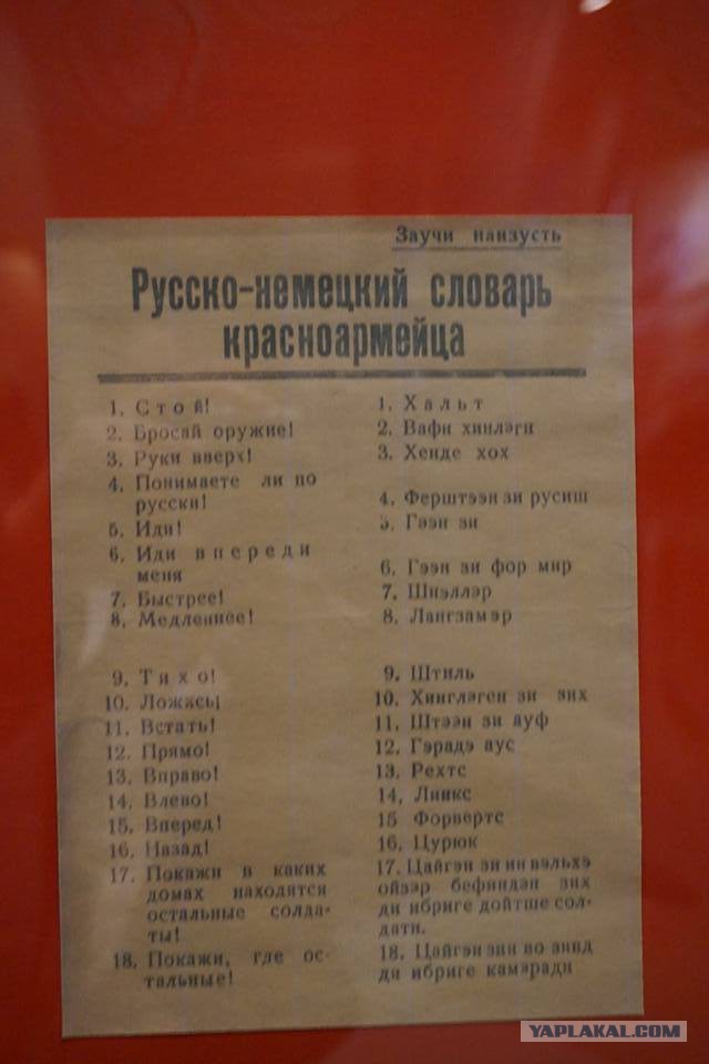 Новые дочери офицеров