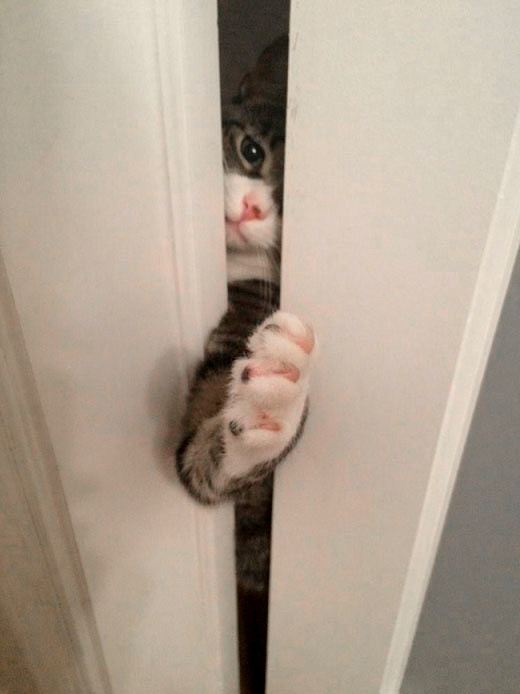 Дай пять, бро!