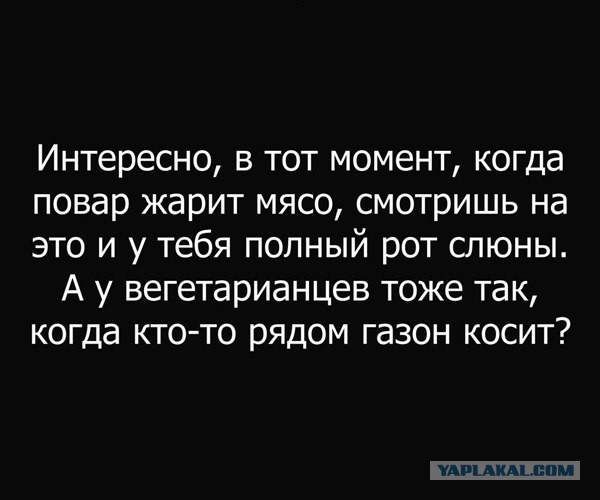 Лёгкий тупёж подкрался незаметно