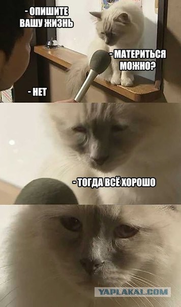 Журнал "Деградант" , предновогодней выпуск