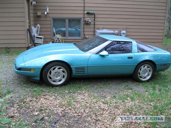 Американский тазовод