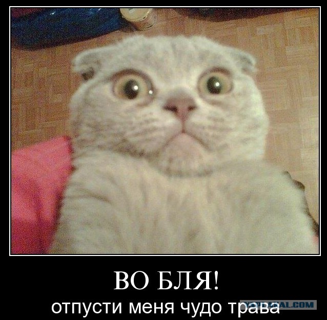 Есть же и нормальные выпускницы!