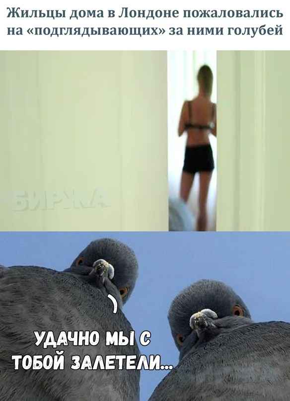 Не очень адекватный юмор