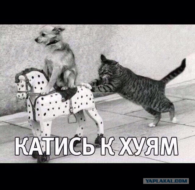Поможем депутату?
