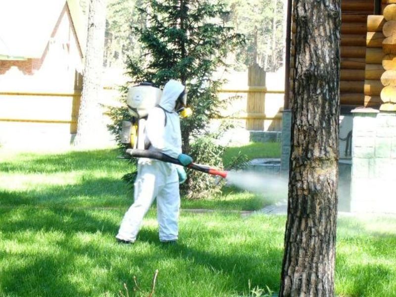 Обработка Участка От Клещей Цена