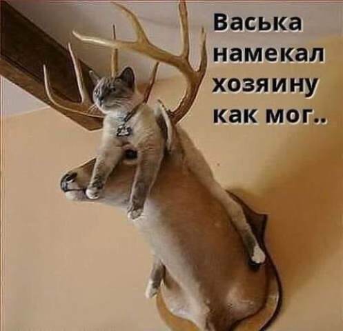 Специфический юмор