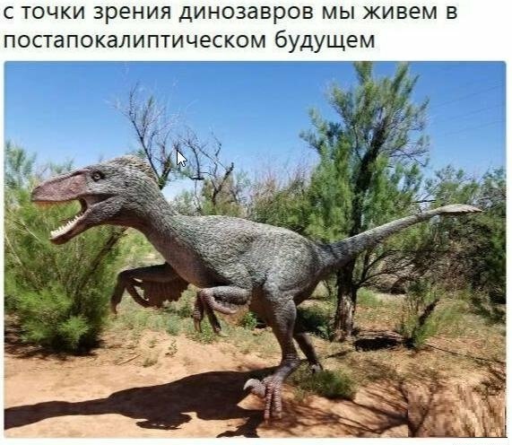Прикольные картинки абавсём
