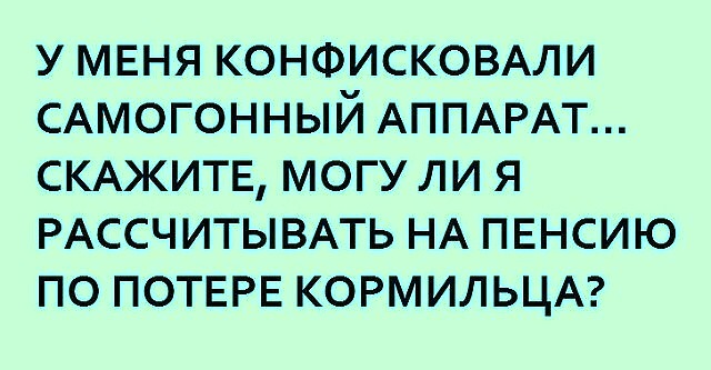 В Беловежской пуще ликвидирован самогонный завод