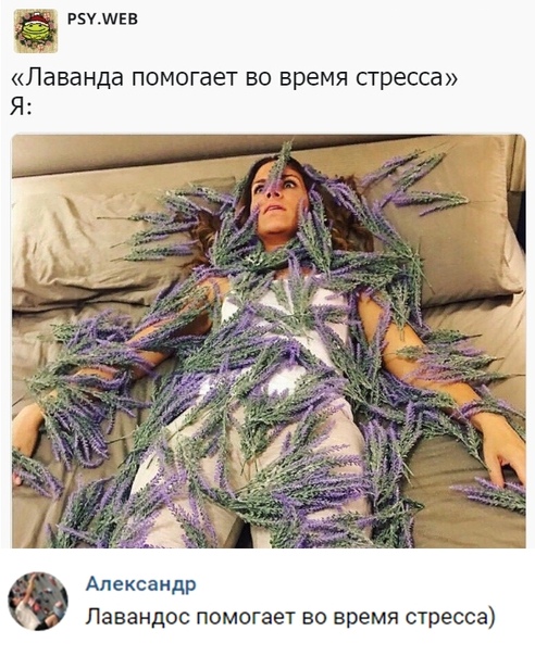 Борщ из картинок, людей, приколов, чуток боянов и всякого такого