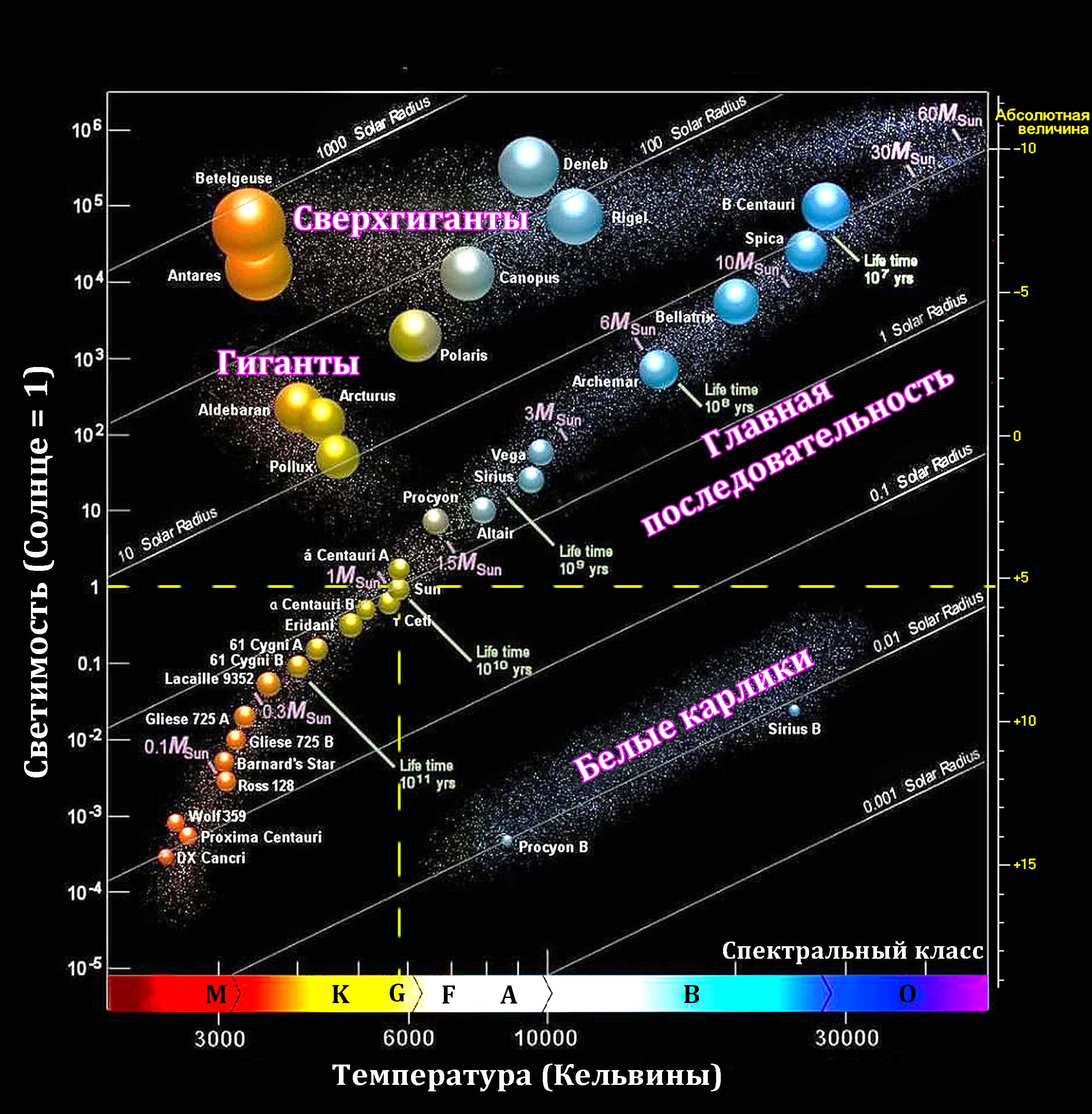 Какое соотношения звезд. Звезда Денеб спектральный класс. Спектральные классы звезд таблица. Спектральная классификация звёзд. Характеристика спектральных классов звезд.