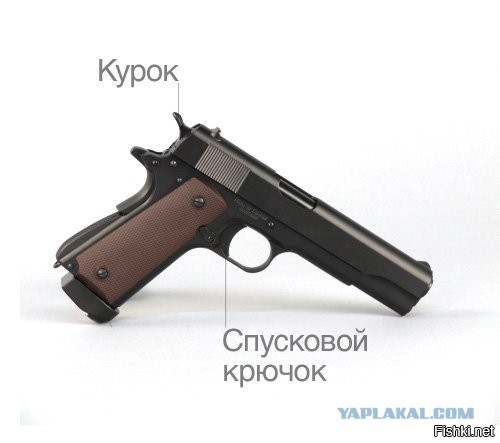 Особенности арабской свадьбы