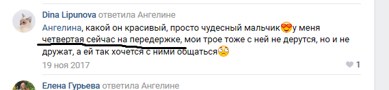 Помогите вернуть кота! Приют "Преданное сердце" украл кота и не отдает!-2