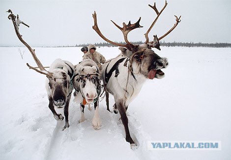 Back In Ussr