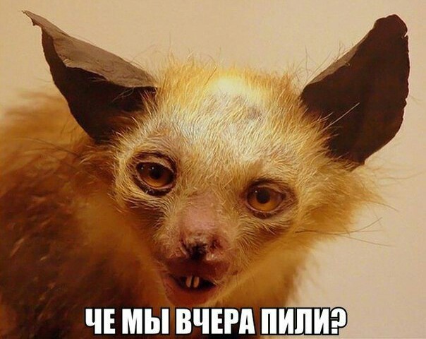 Немного картинок для настроения 06.01.20