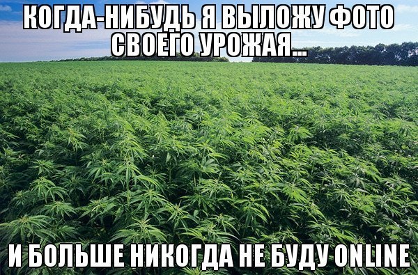 Чуток картинок 22.01.2020