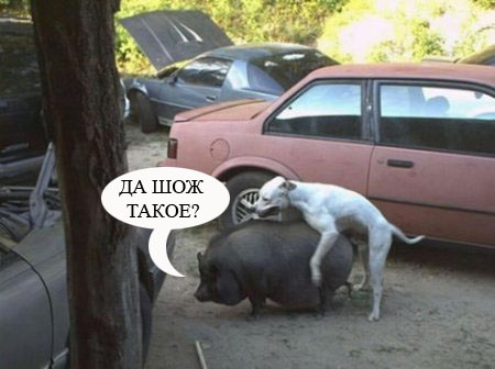 Фотожаба: Логово Формалиина!