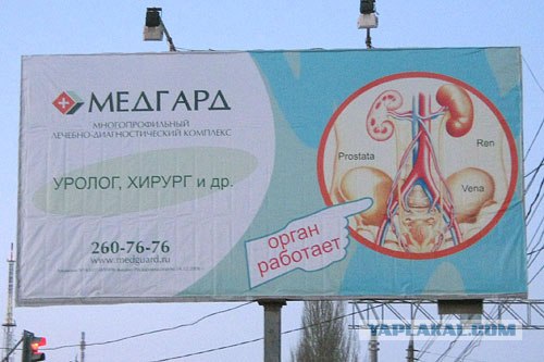 Орган работает! (8 фото)