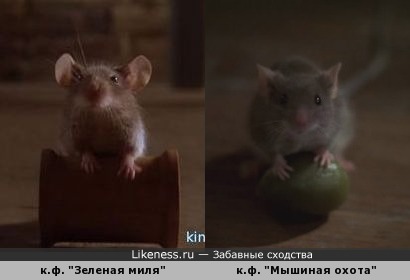 Немного фоток тех времен, когда мы были чуточку моложе