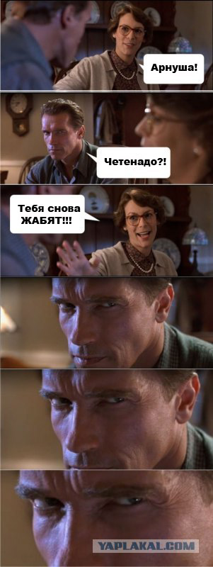 Арни явно что-то задумал!