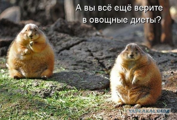 Слегка об этом