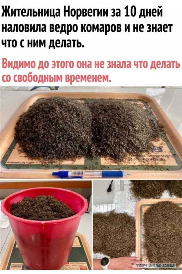Картинки с надписями и всякие жизненные фразы 23.1.21