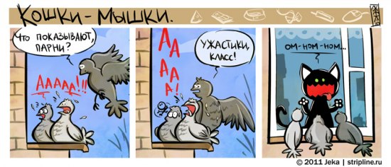 Котенок и голубь
