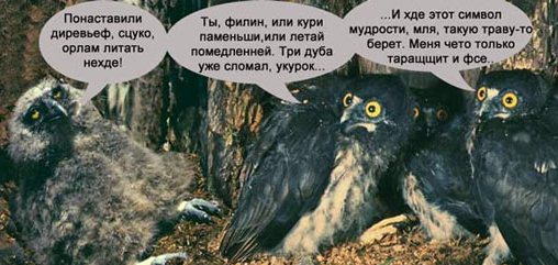 Да пусти же ты! Дай посмотреть...