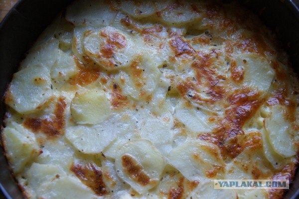 Картофельная запеканка