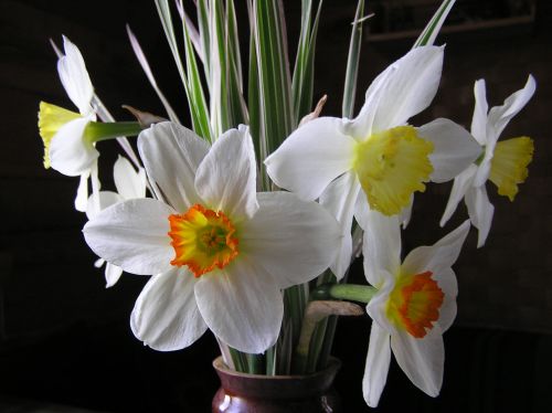 Кулинарная беседка