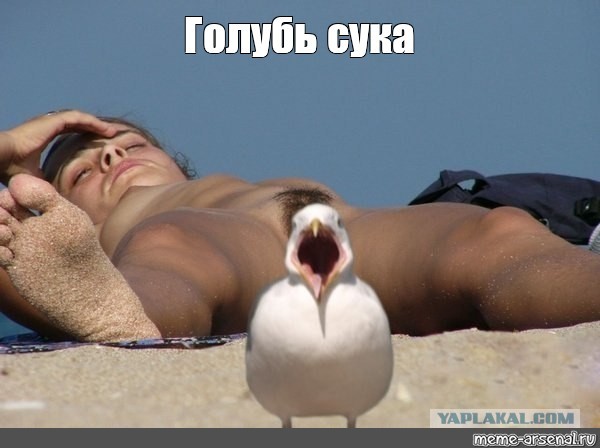 Старинные демотиваторы - 01 (2010)
