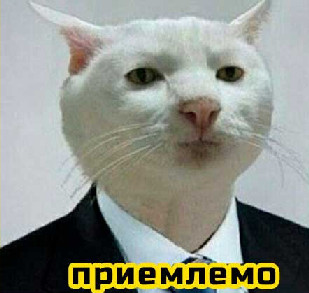 Госдеп назвал условия для отмены санкций против России